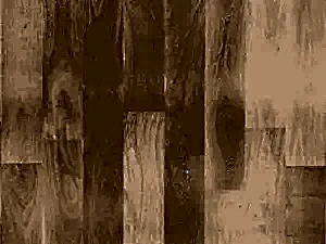BENTHAM PLANK