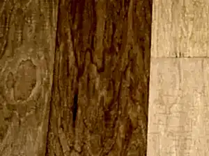 Carolina Classic Hickory Beaufort