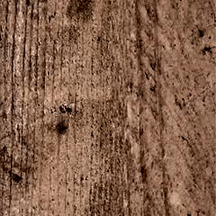 TruCor 7 Series Navajo Oak
